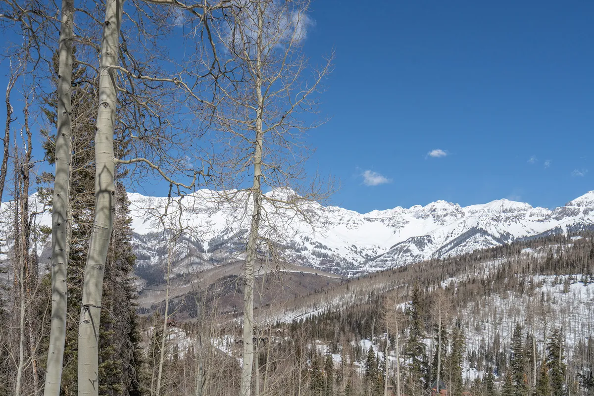 A panoramic view of snow-capped mountains with bare trees in the foreground and a clear blue sky above. The landscape is pristine and inviting, capturing the allure of the surrounding natural beauty.
